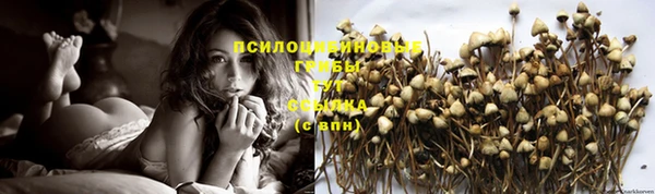 стаф Балахна