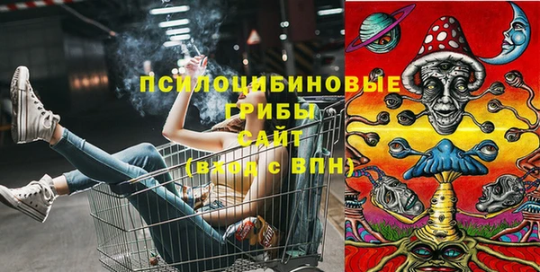 гидропоника Богородск