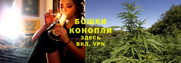 гидропоника Богородск